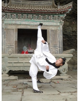 wudang kung fu styles